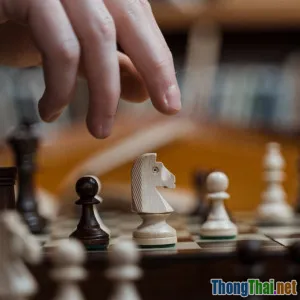 Phản Biện Định Kiến: Ra Quyết Định Dựa Vào Kinh Nghiệm Có Thật Sự Đúng