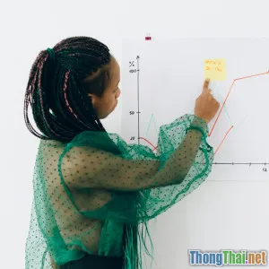 Hướng dẫn tự thiết kế plugin WordPress để bán