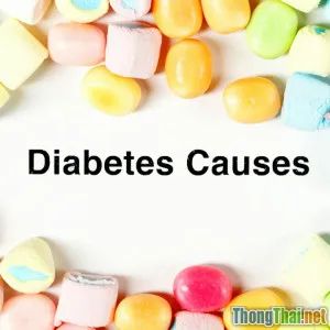 Phân tích nguyên nhân gây bệnh ở mèo