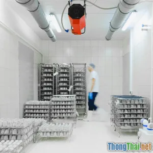 Phân tích tác động của blockchain trong logistics lạnh thực phẩm tươi sống