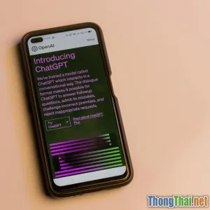 So sánh lợi ích SaaS và app native trong thị trường kiếm tiền