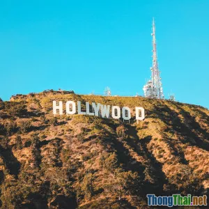 Phân tích xu hướng phim ảnh chuyển thể từ sách nổi tiếng