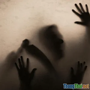 Cách thưởng thức phim rùng rợn không bị ám ảnh