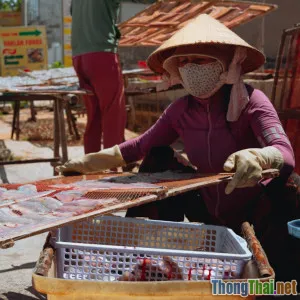 Phim tài liệu về cuộc sống: Những điều chưa biết