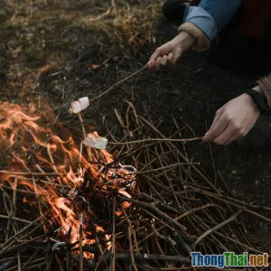 Phim zombie nào thay đổi cái nhìn về nhân tính