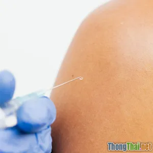 Phòng bệnh truyền nhiễm cho chó mèo tại nhà đơn giản