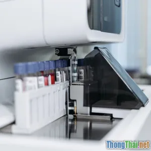 Review các công cụ nổi bật giúp phân tích lỗ hổng tự động