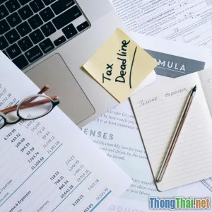 Review top 5 công cụ theo dõi chi tiêu hiệu quả