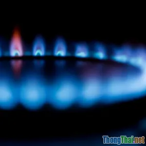 Review top 7 dụng cụ nhà bếp giúp tiết kiệm sức lực cho người nội trợ