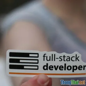 So găng Back end vs Front end Developer: Thu nhập và tương lai nghề nghiệp