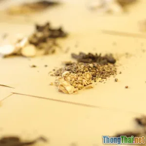 So sánh bài thuốc Đông y và Tây y trị bệnh dạ dày