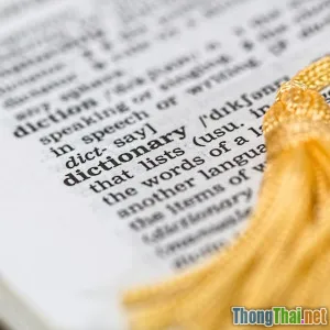 Top tài liệu đọc hiểu tiếng Anh dễ mà thú vị cho người mới