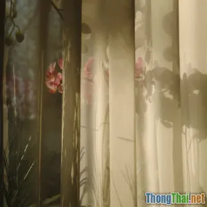 So Sánh Các Loại Rèm Cho Cửa Sổ Hướng Tây