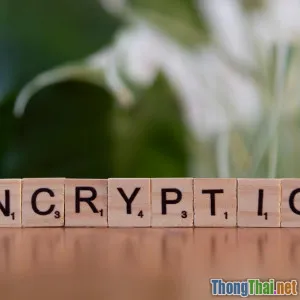 So sánh cơ chế mã hóa dữ liệu phổ biến năm 2024