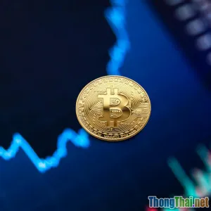 So sánh đầu tư vàng, chứng khoán hay trái phiếu năm 2024 Ai thắng thế