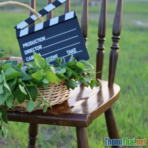 So sánh phim tài liệu quốc tế và phim tài liệu Việt Nam có gì khác biệt