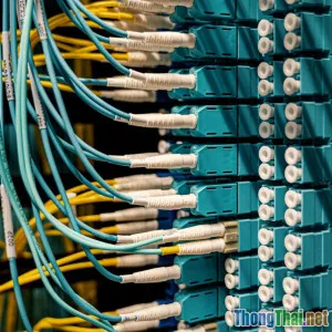 So sánh tốc độ truyền dữ liệu giữa JSON và XML Ai chiến thắng