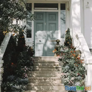 So sánh ưu nhược điểm giữa vườn mini DIY và trồng vườn truyền thống