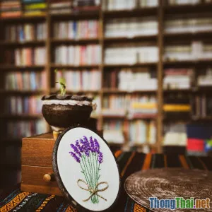 Sự khác biệt giữa kệ sách mini DIY và mua sẵn qua trải nghiệm thực tế