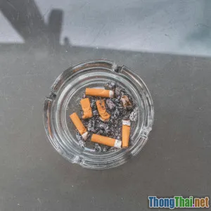 Bỏ thuốc lá đơn giản chỉ với năm bước nhỏ