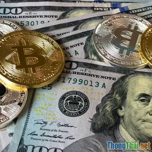 Sự thật về đầu tư tiền điện tử