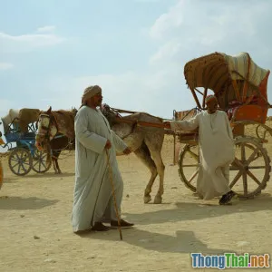 Tại sao bạn nên chọn homestay thay vì khách sạn truyền thống?