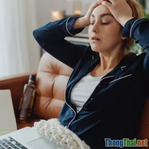 Tại sao bạn nên trồng cây trong nhà ngay hôm nay?