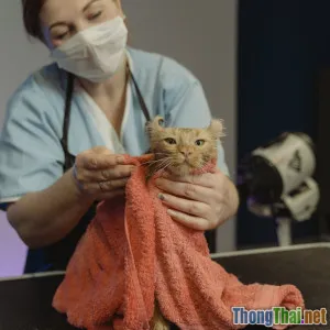 Tại sao mọi người lại yêu thích mặt nạ tóc DIY? Khám phá điều kỳ diệu!