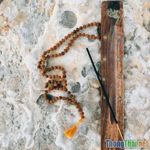 Review top tài liệu tâm lý học tích cực cho người mới bắt đầu