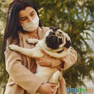 Tại sao thú cưng mắc bệnh tâm lý khi sống chung với gia đình nhỏ