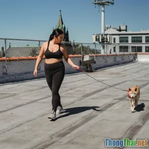 Tăng cường thể chất và tinh thần cho thú cưng bằng cách nào ở thành phố lớn