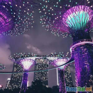 Tây Nguyên Trong Tương Lai: Xu Hướng Du Lịch Bền Vững