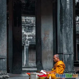 Thiền động hay tĩnh tiến hóa tinh thần nhanh hơn