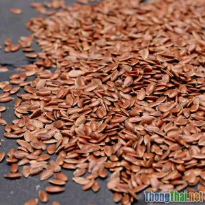 Thỏ ăn gì để có lông mượt Sổ tay dinh dưỡng từ chuyên gia