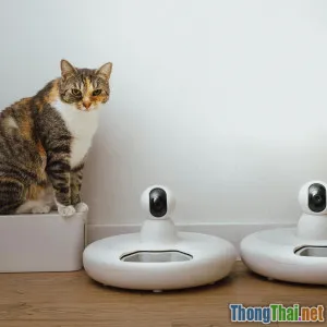 Top phụ kiện thông minh nâng tầm trải nghiệm nuôi thú