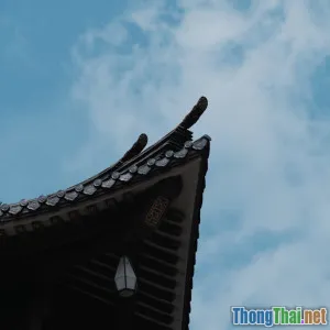 Thực hành khí vận Đạo giáo giúp an yên tinh thần: Kinh nghiệm từ người thật