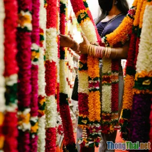 Tips cho người đi lần đầu trải nghiệm homestay và văn hóa dân tộc