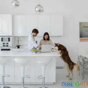 Tổ chức lại khu bếp giúp cả nhà gắn kết hơn