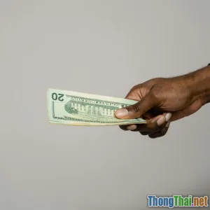 Top 10 quỹ đầu tư tốt nhất năm 2023