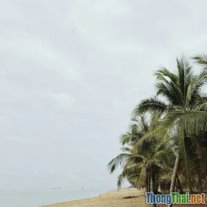 Top 5 bãi biển đẹp nhất Việt Nam