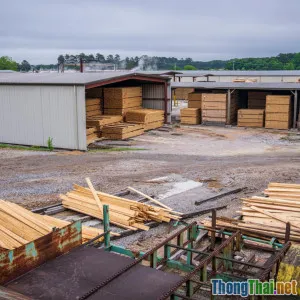 Top 5 cấu trúc dữ liệu ai cũng nên học trước tuổi 20