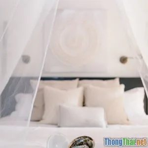 Top 5 địa điểm tại Việt Nam nổi tiếng với trải nghiệm chữa lành thiên nhiên