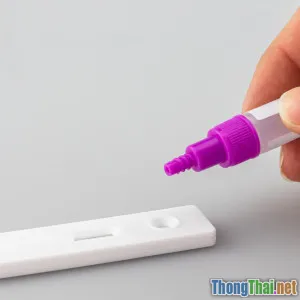 Top 5 mẹo sử dụng Kali Linux hiệu quả nhất 2024