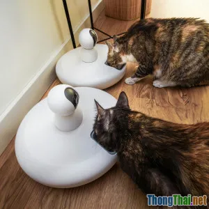 Top 5 robot cho ăn tự động tuyệt vời nhất