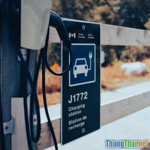 Top 5 xe điện đáng mua nhất năm 2024 cho gia đình Việt