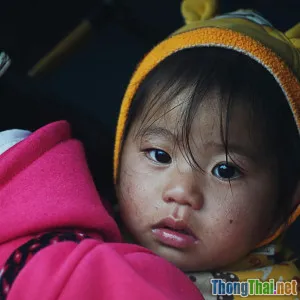 Top 7 phim hài tuổi thơ Việt không thể bỏ lỡ