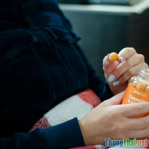 Top 7 sản phẩm dược liệu hỗ trợ tăng sức đề kháng cho chó