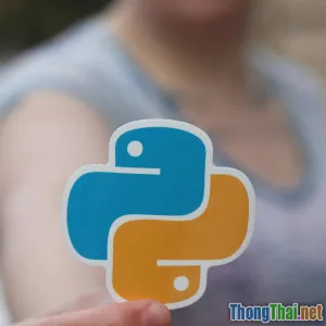 Top 7 ứng dụng học ngoại ngữ miễn phí tốt nhất năm 2024