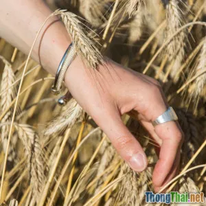 Trang sức bạc có thực sự phù hợp với làn da nhạy cảm phân tích chi tiết