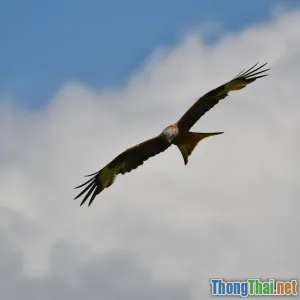 Từ ETL Truyền Thống Lên ETL Đám Mây Thành Công